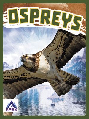 cover image of Ospreys